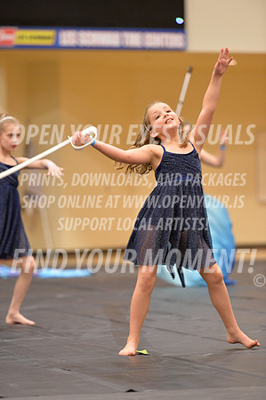 2018-LibertyNWAPA-HillsboroMinisExhibition-068