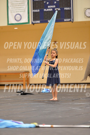 2018-LibertyNWAPA-HillsboroMinisExhibition-073