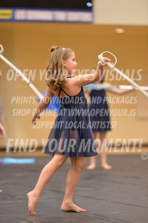 2018-LibertyNWAPA-HillsboroMinisExhibition-080