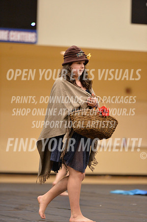 2018-LibertyNWAPA-HillsboroMinisExhibition-084