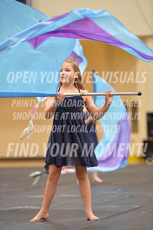 2018-LibertyNWAPA-HillsboroMinisExhibition-092