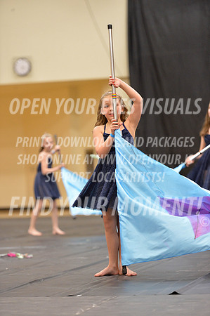 2018-LibertyNWAPA-HillsboroMinisExhibition-104