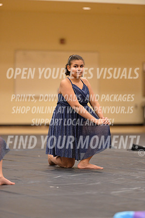 2018-LibertyNWAPA-HillsboroMinisExhibition-002