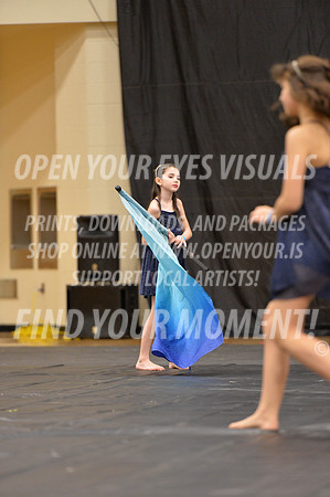 2018-LibertyNWAPA-HillsboroMinisExhibition-012