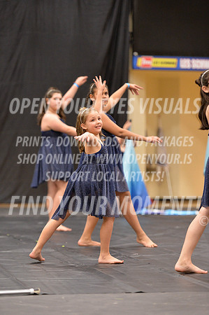2018-LibertyNWAPA-HillsboroMinisExhibition-013