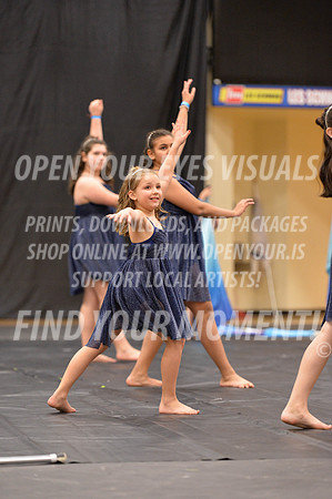 2018-LibertyNWAPA-HillsboroMinisExhibition-014
