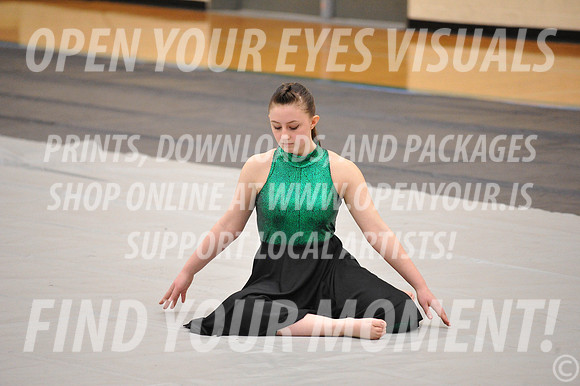 2018-WestSalemPerChamp-WestSalemJVColorguard-002