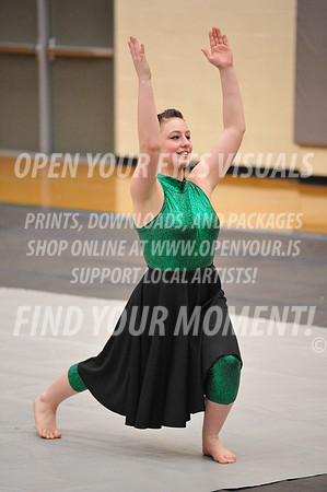 2018-WestSalemPerChamp-WestSalemJVColorguard-006