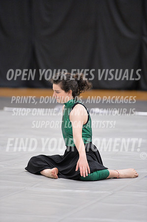 2018-WestSalemPerChamp-WestSalemJVColorguard-057