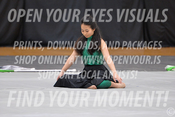2018-WestSalemPerChamp-WestSalemJVColorguard-059