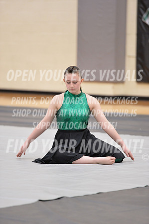 2018-WestSalemPerChamp-WestSalemJVColorguard-060