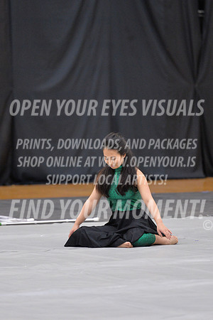 2018-WestSalemPerChamp-WestSalemJVColorguard-062