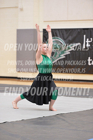 2018-WestSalemPerChamp-WestSalemJVColorguard-065