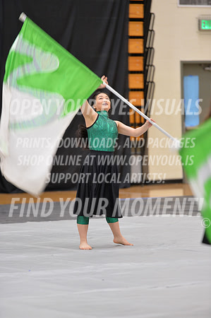 2018-WestSalemPerChamp-WestSalemJVColorguard-079