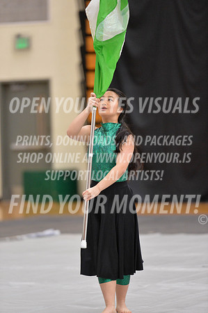 2018-WestSalemPerChamp-WestSalemJVColorguard-098
