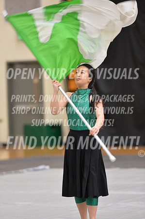 2018-WestSalemPerChamp-WestSalemJVColorguard-099
