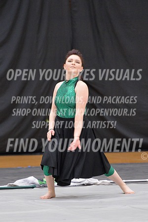 2018-WestSalemPerChamp-WestSalemJVColorguard-120