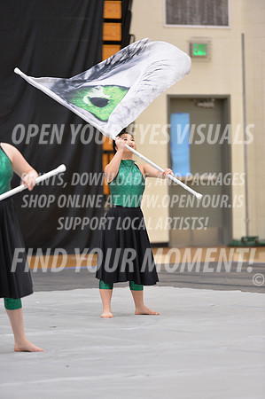 2018-WestSalemPerChamp-WestSalemJVColorguard-140