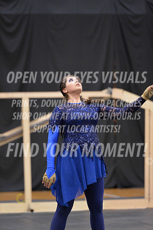 2018-WestSalemPerChamp-WestSalemVColorguard-046