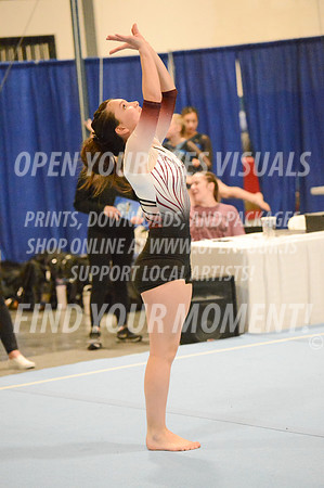 2025-RealmClassic-Saturday-Session8-Gold_Adult-Floor-Olympic-JJ-0029