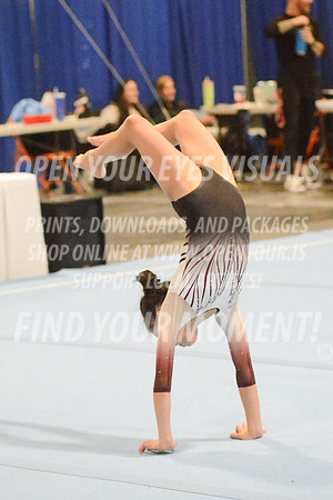 2025-RealmClassic-Saturday-Session8-Gold_Adult-Floor-Olympic-JJ-0015A