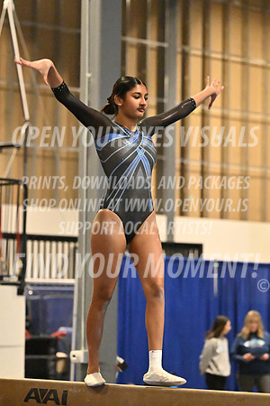 2025-RealmClassic-Saturday-Session8-Gold_Adult-Beam-Bothell-BH-0052