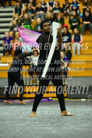 2019-WGI-Skyview-Armada-264