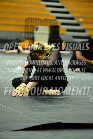 2019-WGI-Skyview-Armada-003