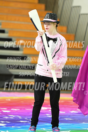 2019-WGI-Skyview-BeavertonStars-069