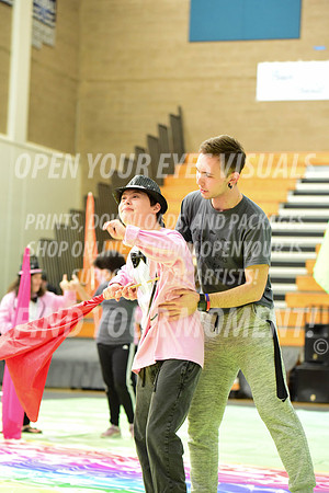2019-WGI-Skyview-BeavertonStars-074
