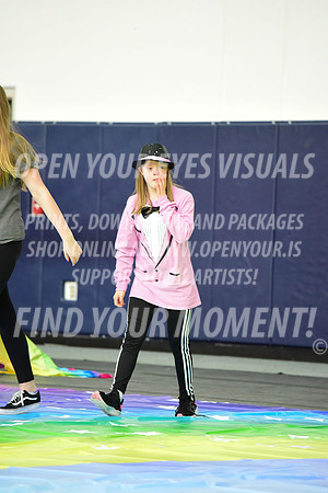 2019-WGI-Skyview-BeavertonStars-080