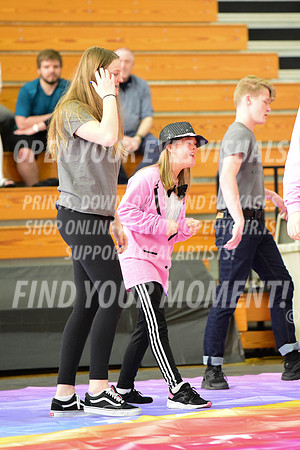 2019-WGI-Skyview-BeavertonStars-009