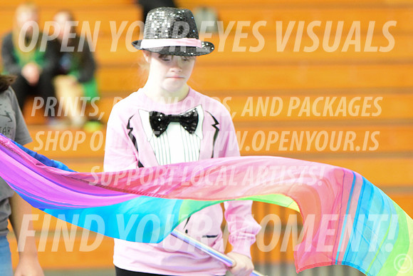 2019-WGI-Skyview-BeavertonStars-025