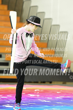 2019-WGI-Skyview-BeavertonStars-044