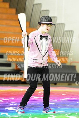 2019-WGI-Skyview-BeavertonStars-045