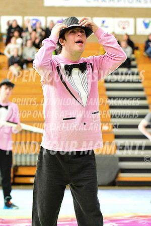 2019-WGI-Skyview-BeavertonStars-048