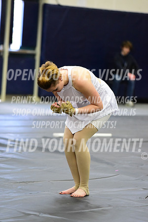 2019-WGI-Skyview-BonneyLakeHS-011