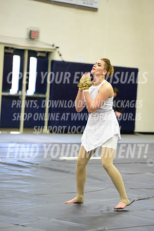 2019-WGI-Skyview-BonneyLakeHS-014