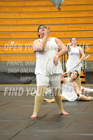2019-WGI-Skyview-BonneyLakeHS-023