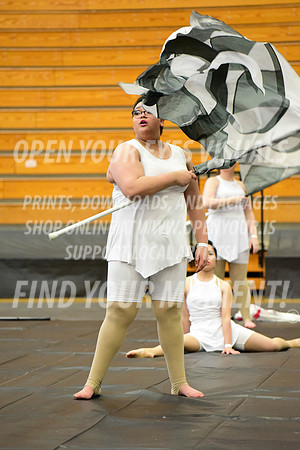 2019-WGI-Skyview-BonneyLakeHS-025