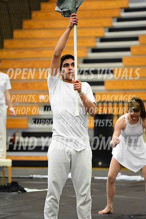 2019-WGI-Skyview-BonneyLakeHS-027