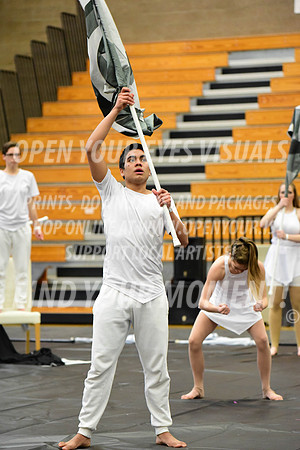 2019-WGI-Skyview-BonneyLakeHS-028
