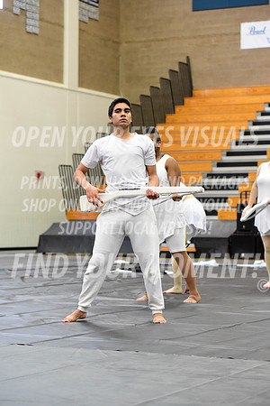 2019-WGI-Skyview-BonneyLakeHS-035
