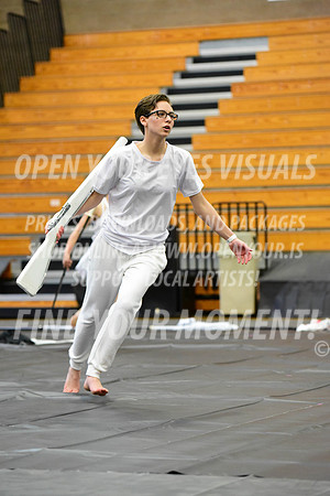2019-WGI-Skyview-BonneyLakeHS-048