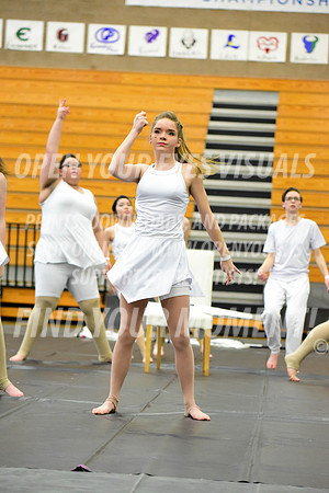 2019-WGI-Skyview-BonneyLakeHS-069