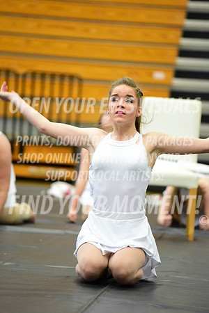2019-WGI-Skyview-BonneyLakeHS-073