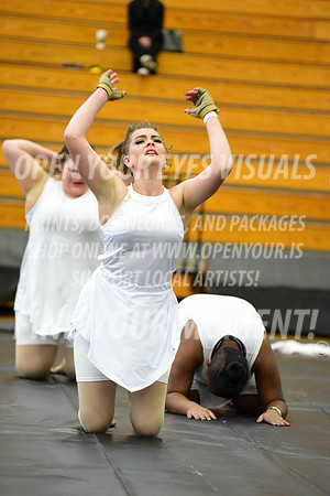 2019-WGI-Skyview-BonneyLakeHS-074