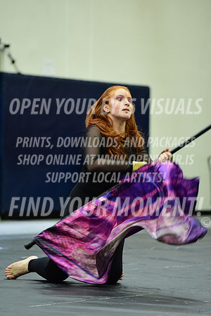 2019-WGI-Skyview-Armada-159