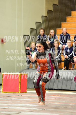 2019-WGI-Skyview-Cascadia-004