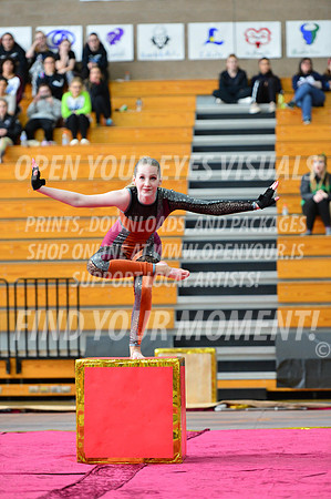 2019-WGI-Skyview-Cascadia-027